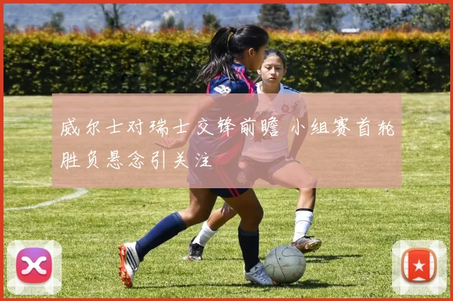 威尔士对瑞士交锋前瞻 小组赛首轮胜负悬念引关注