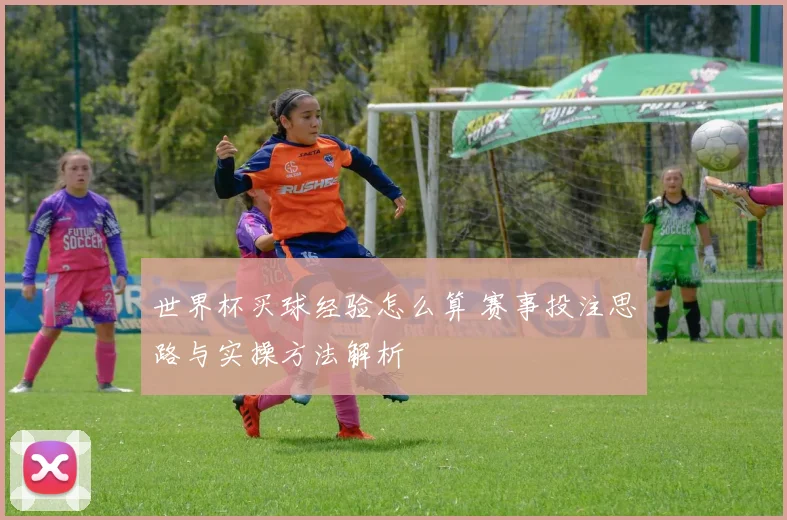 世界杯买球经验怎么算 赛事投注思路与实操方法解析