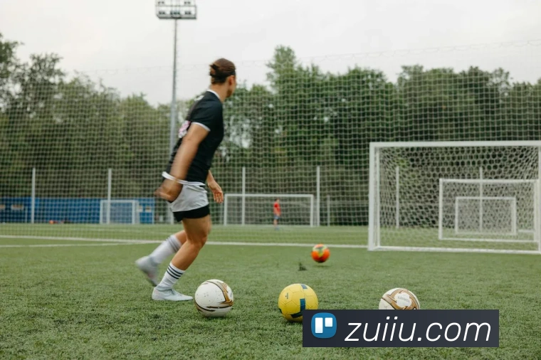 世界杯官方入口平台生态图